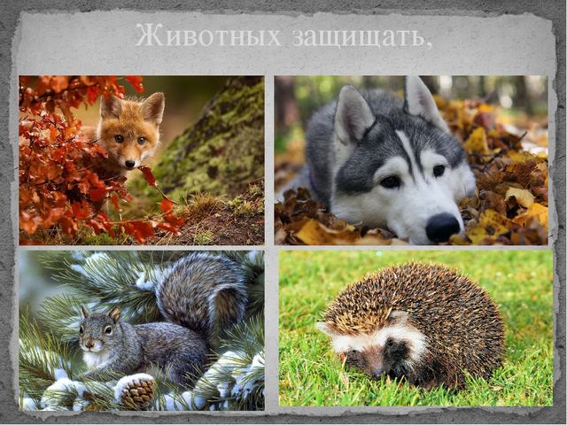 Презентация на тему экология "Моя планета"