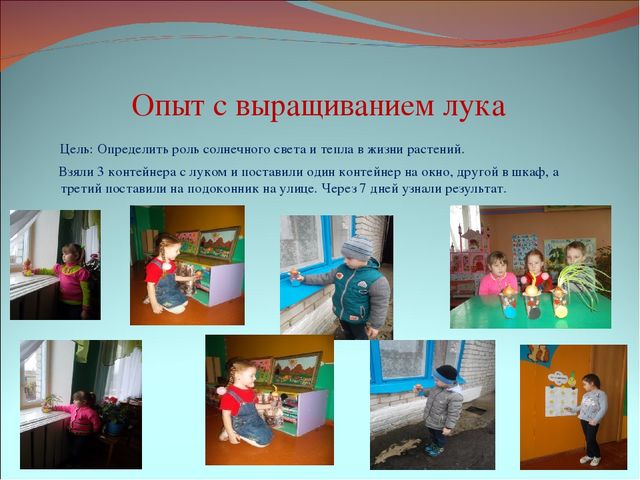Презентация детского исследовательского проекта "Солнце льет на землю и тепло, и свет..."