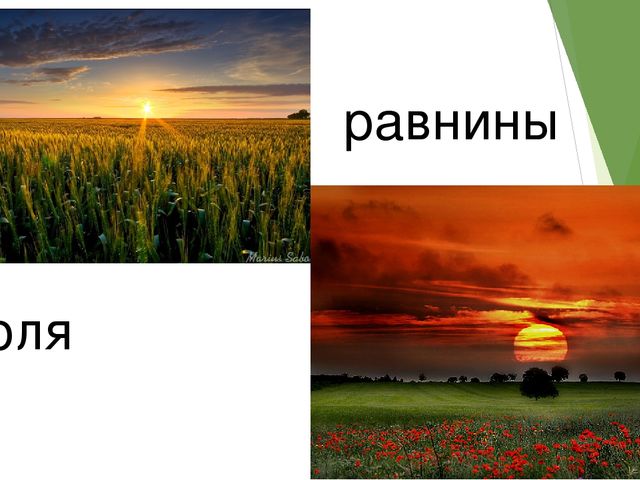Презентация занятия по экологии "Планета Земля"