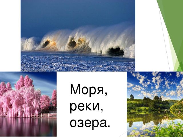 Презентация занятия по экологии "Планета Земля"