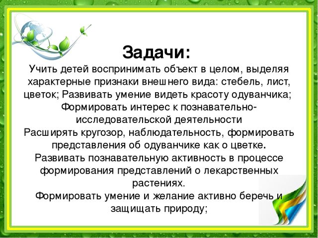 Презентация: "Наблюдение за одуванчиком" (подготовительная группа)