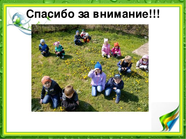 Презентация: "Наблюдение за одуванчиком" (подготовительная группа)