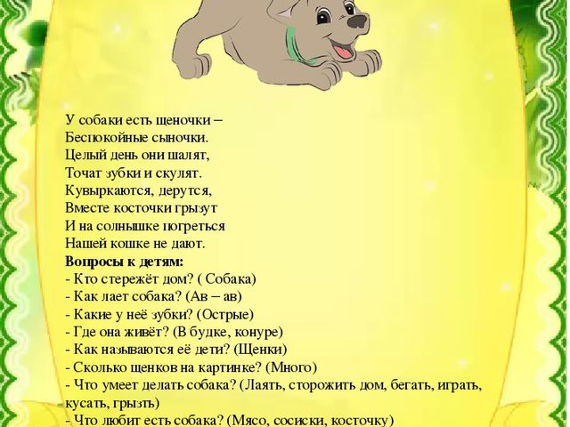 Презентация по развитию речи"Домашние и дикие животные"