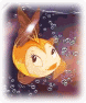 Picture 31