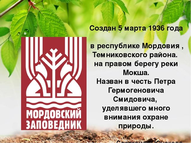 Презентация по экологии "Мордовский заповедник"