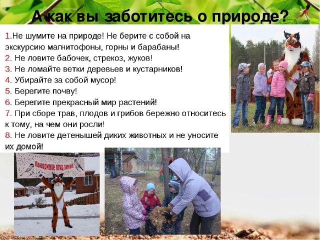 Презентация по экологии "Мордовский заповедник"