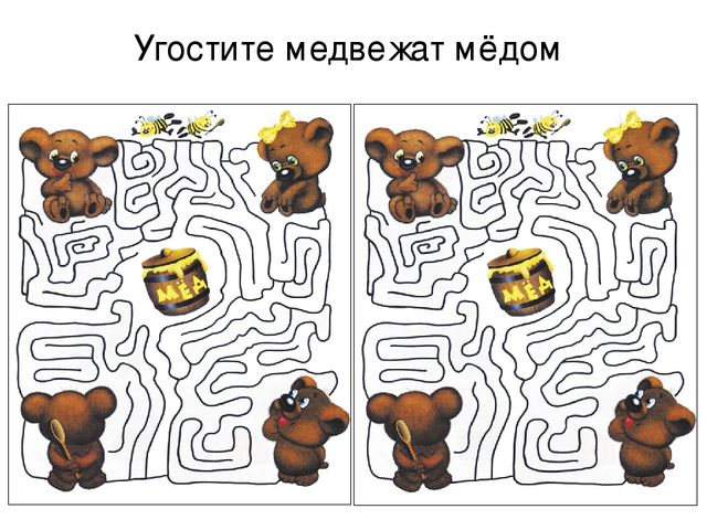 Презентация по экологии "Мордовский заповедник"