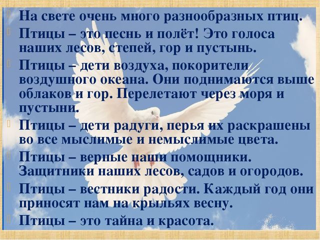 Презентация по познавательному развитию "Здравствуй, птичья страна"