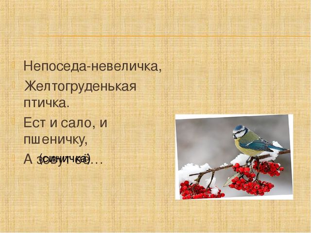 Презентация по познавательному развитию "Здравствуй, птичья страна"