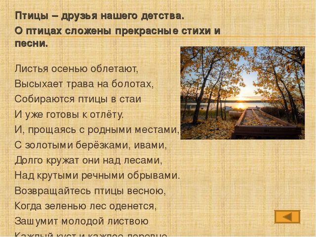 Презентация по познавательному развитию "Здравствуй, птичья страна"