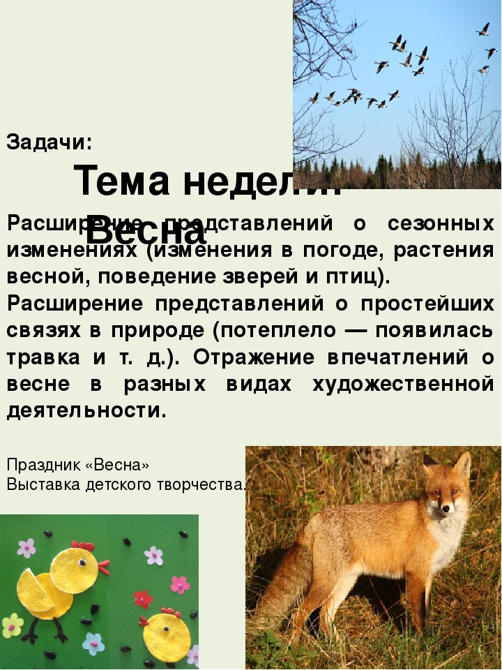 Презентация "Тема недели". Дошкольное воспитание.