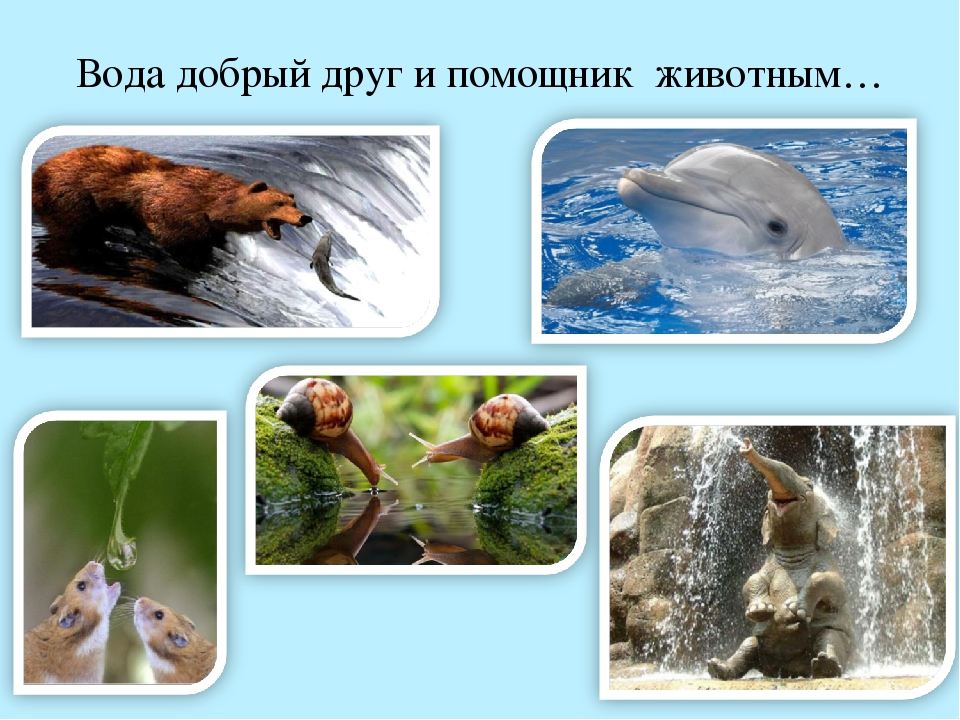 Презентация "Водные ресурсы земли"