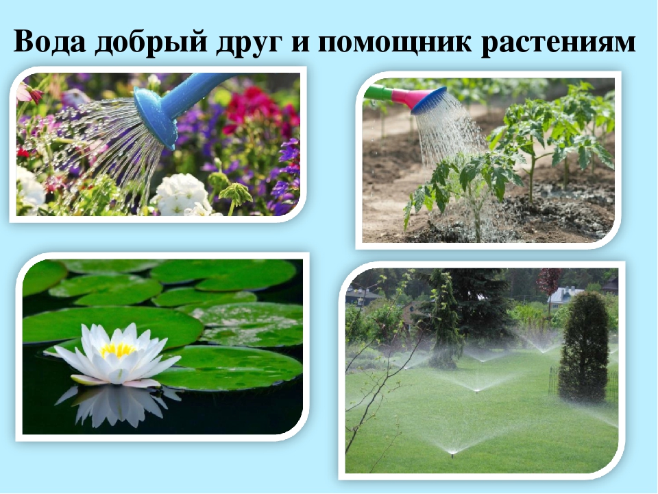 Презентация "Водные ресурсы земли"