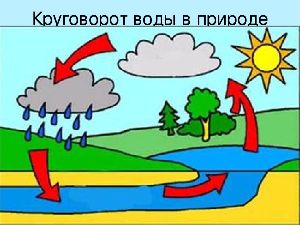 Презентация "Водные ресурсы земли"