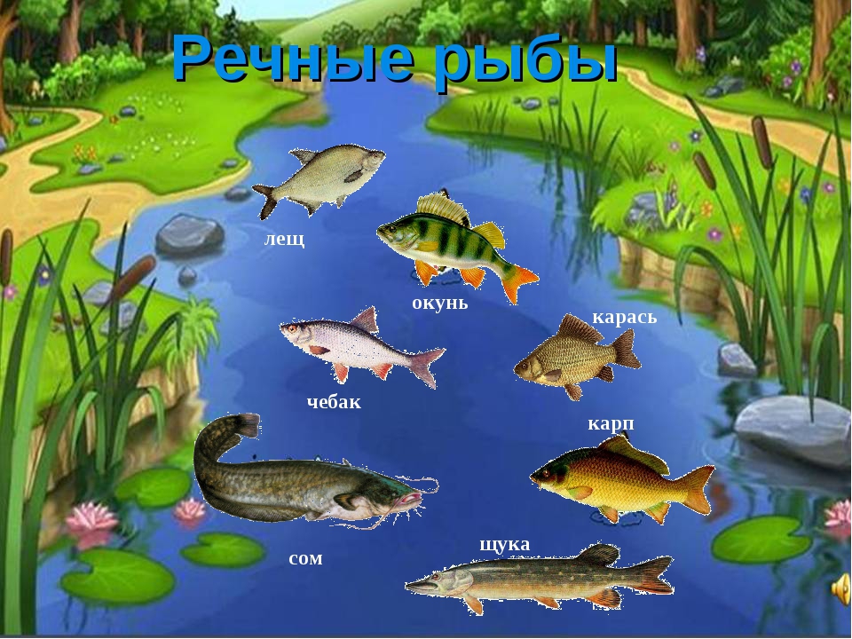 Презентация "Водные ресурсы земли"