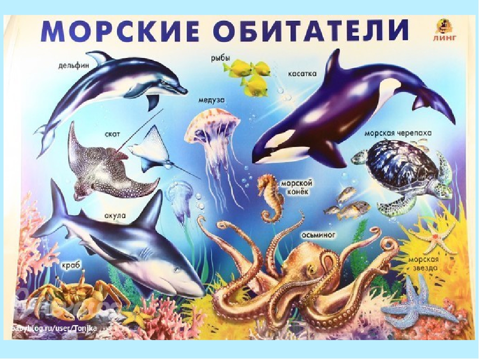 Презентация "Водные ресурсы земли"