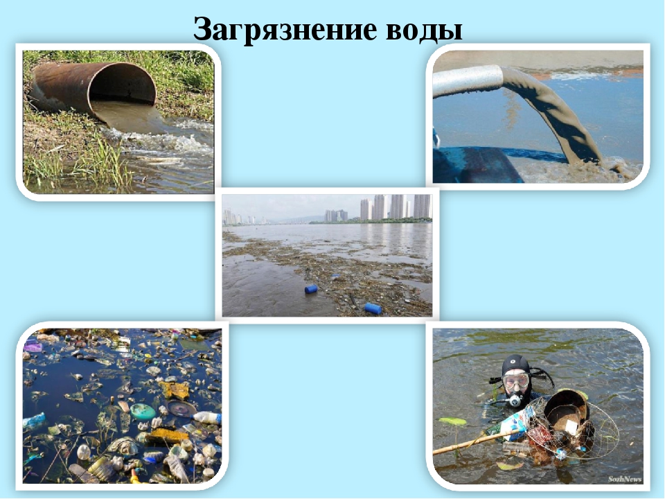 Презентация "Водные ресурсы земли"