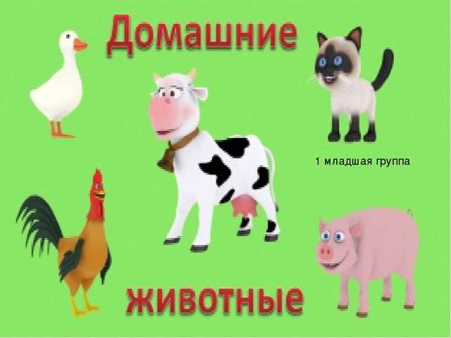 Презентация для 1 младшей группы "Домашние животные"