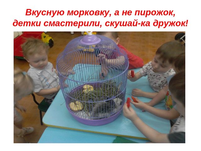 Презентация " Заинька- зайка"