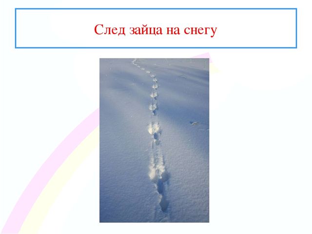 Презентация " Заинька- зайка"
