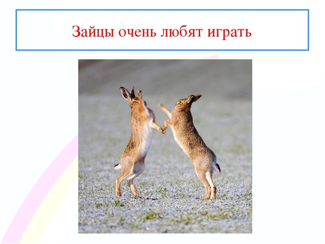 Презентация " Заинька- зайка"