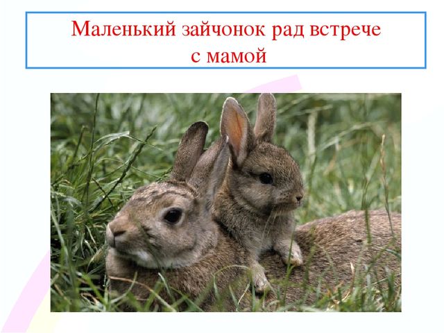 Презентация " Заинька- зайка"