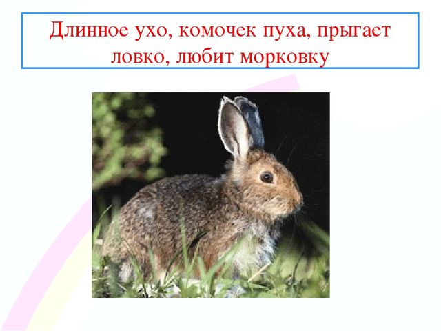Презентация " Заинька- зайка"