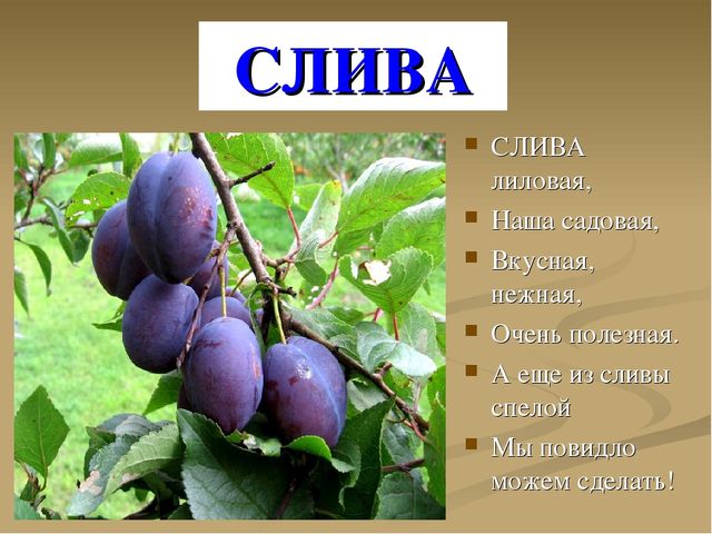 Презентация на тему "Ягоды"