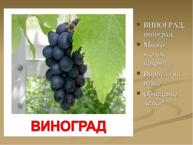 Презентация на тему "Ягоды"