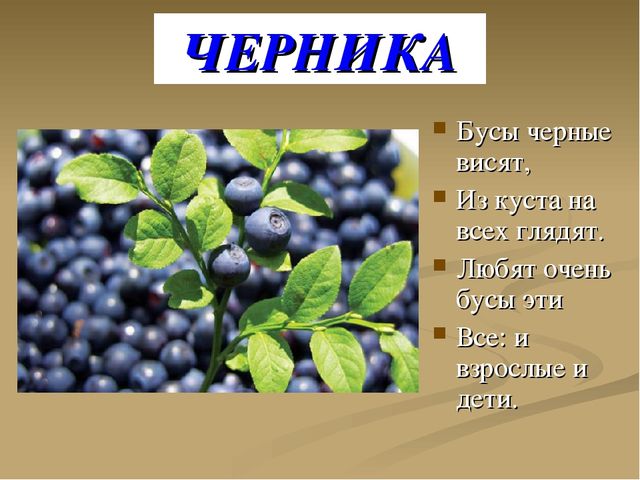 Презентация на тему "Ягоды"