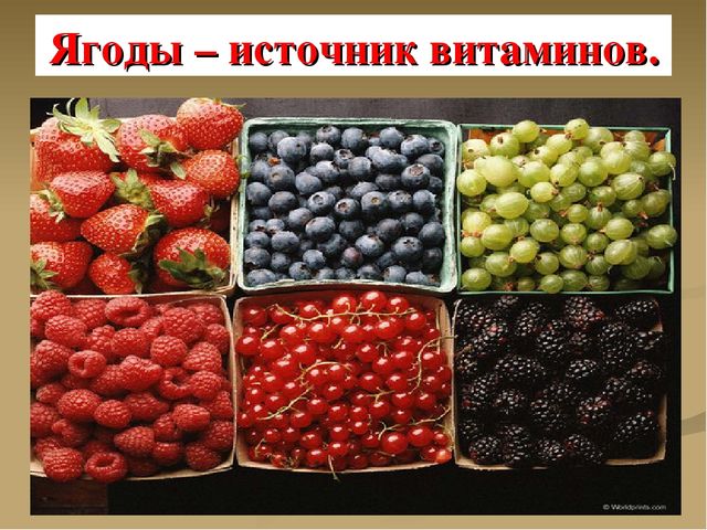 Презентация на тему "Ягоды"