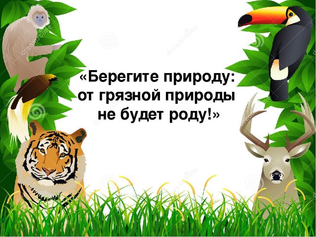 Презентация для детей "Берегите природу: от грязной природы не будет роду"