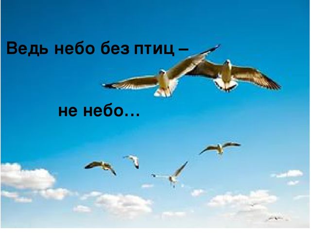 Презентация для детей "Берегите природу: от грязной природы не будет роду"