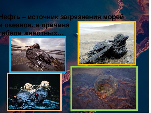Презентация для детей "Берегите природу: от грязной природы не будет роду"