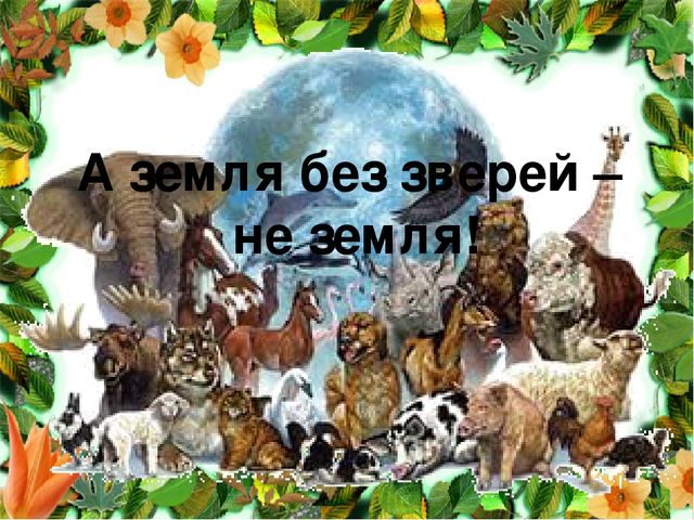 Презентация для детей "Берегите природу: от грязной природы не будет роду"
