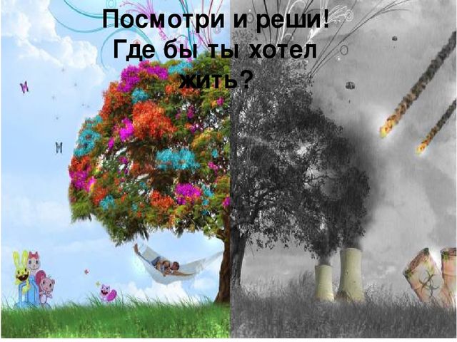 Презентация для детей "Берегите природу: от грязной природы не будет роду"