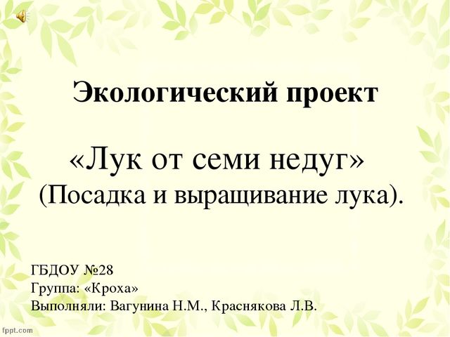 Презентация по проекту "Посадка лука"