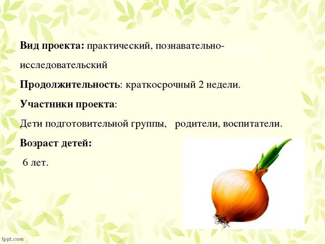 Презентация по проекту "Посадка лука"