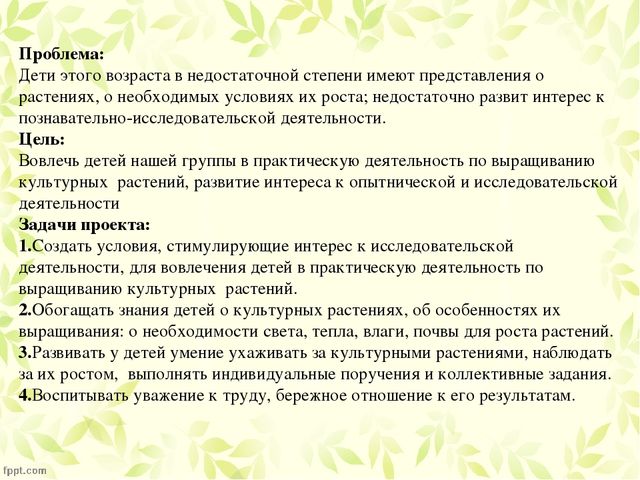 Презентация по проекту "Посадка лука"