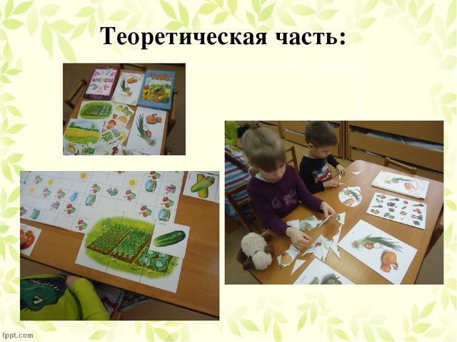 Презентация по проекту "Посадка лука"