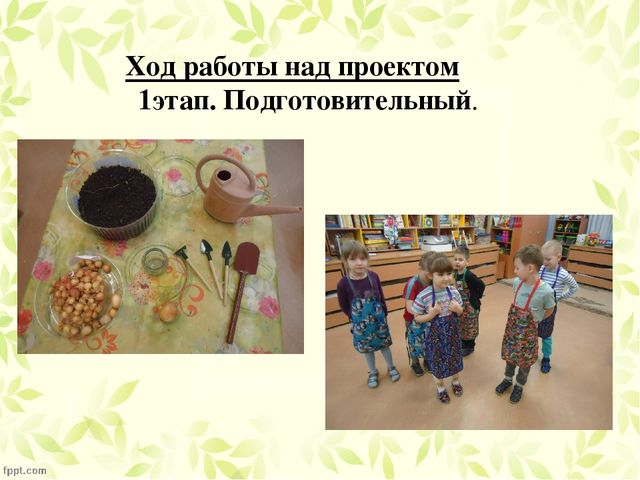 Презентация по проекту "Посадка лука"