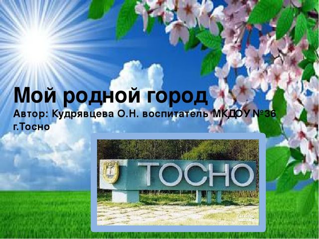 Презентация на тему" Мой родной город"