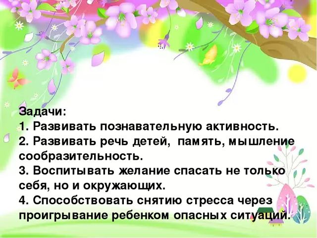 Презентация по теме: «Безопасность в доме и на улице»