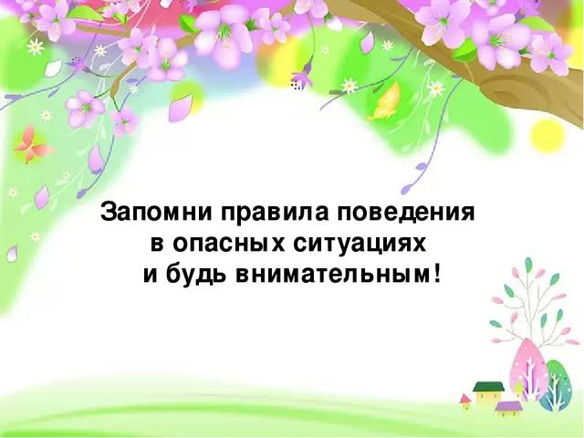 Презентация по теме: «Безопасность в доме и на улице»