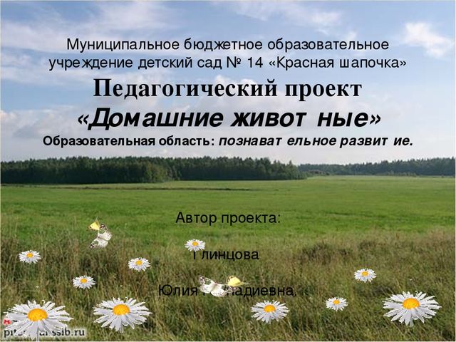 Педагогический проект на тему Домашние животные средняя группа презентация