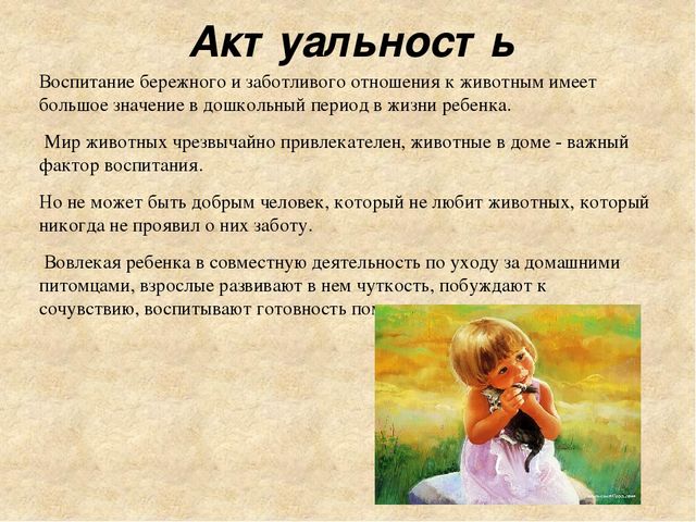 Педагогический проект на тему Домашние животные средняя группа презентация