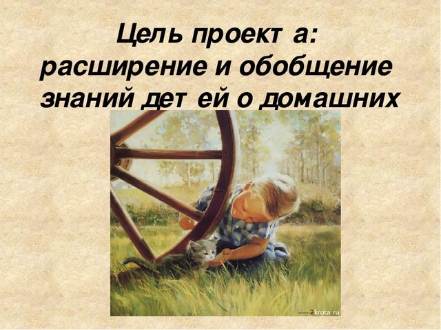 Педагогический проект на тему Домашние животные средняя группа презентация