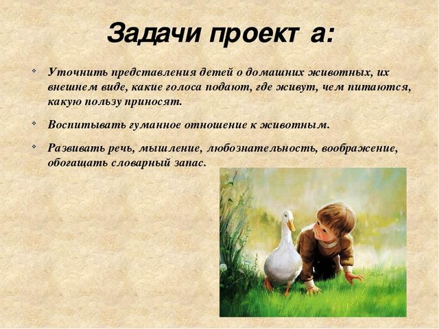 Педагогический проект на тему Домашние животные средняя группа презентация
