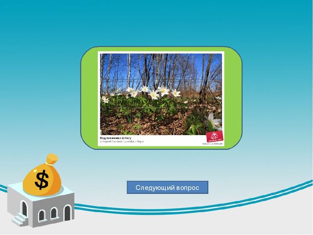 Дидактическая игра по теме весна