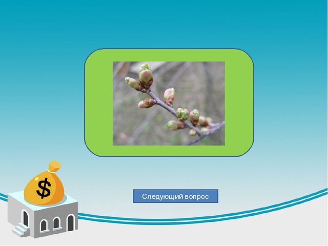 Дидактическая игра по теме весна